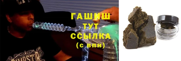 шишки Сосновый Бор
