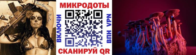 Псилоцибиновые грибы ЛСД  Курильск 